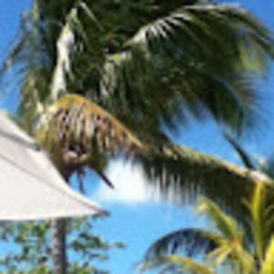 Meet your Posher, Maia